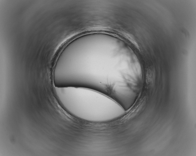 X0000111191356200907011000