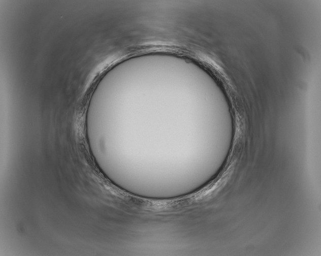 X0000111191357200907011000