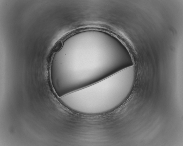 X0000111191360200907011000