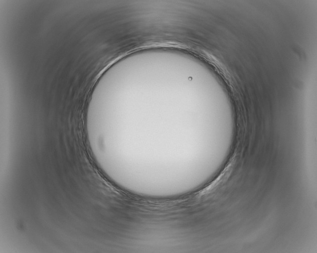 X0000111191361200907011000