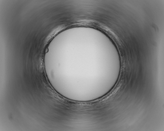 X0000111191362200907011000