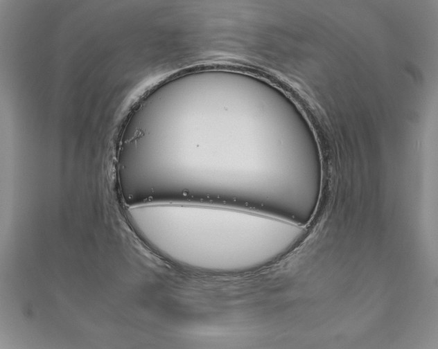 X0000111191363200907011000