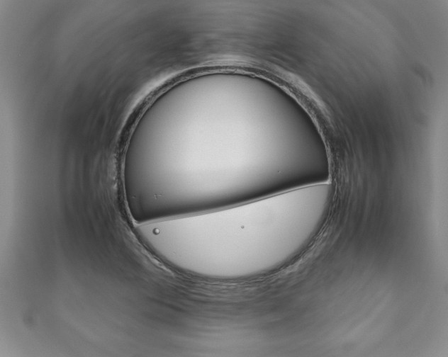 X0000111191364200907011000