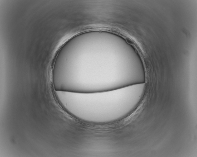 X0000111191365200907011000