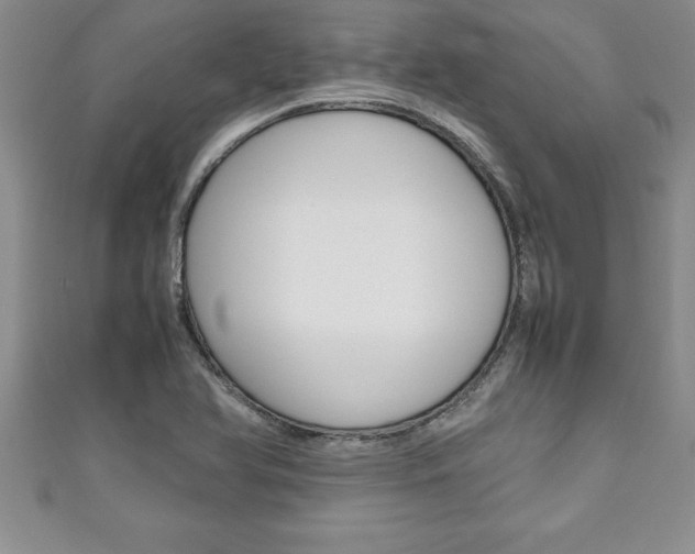X0000111191366200907011000
