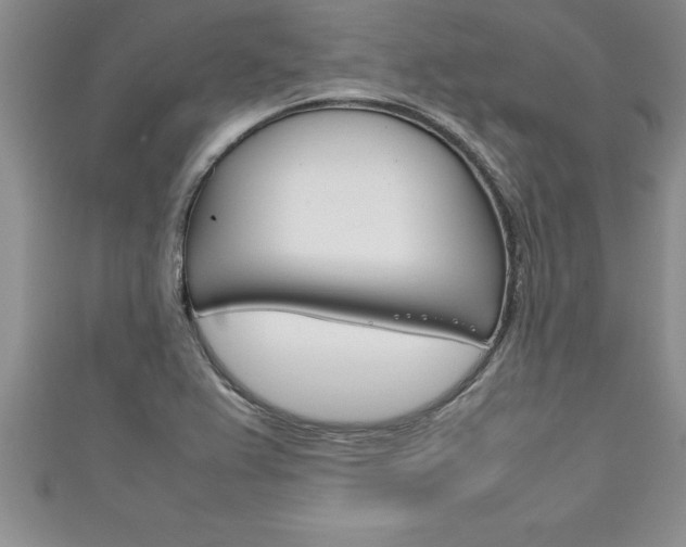 X0000111191367200907011000