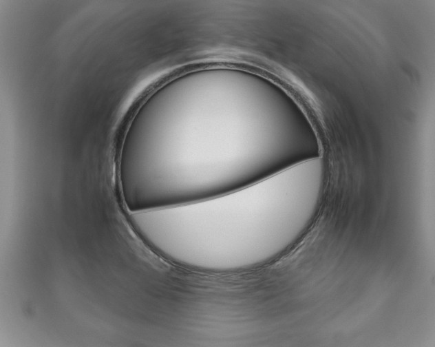 X0000111191368200907011000