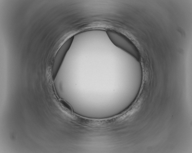 X0000111191369200907011000