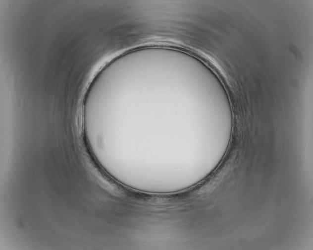 X0000111191371200907011000