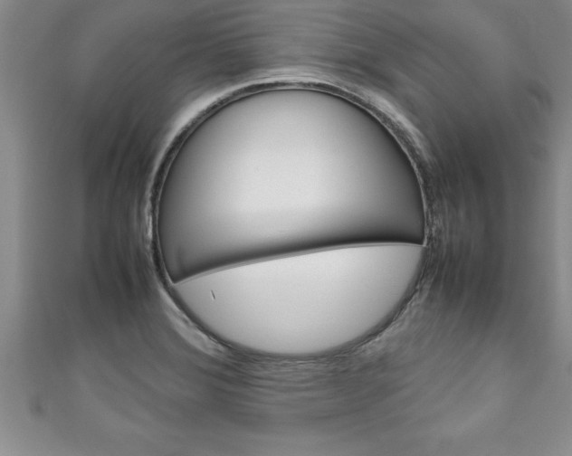 X0000111191372200907011000