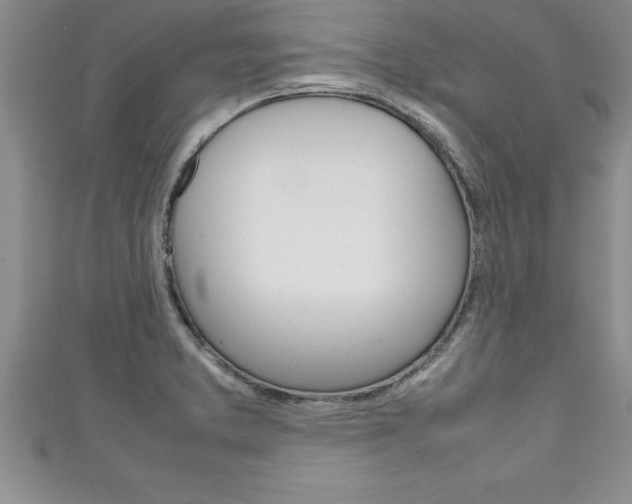 X0000111191373200907011000