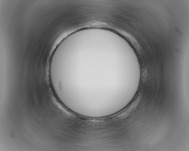 X0000111191374200907011000
