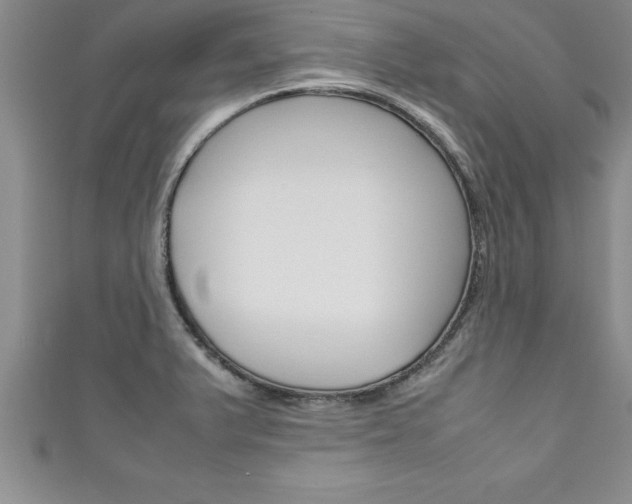 X0000111191375200907011000