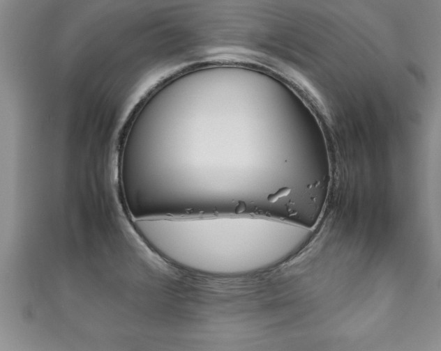 X0000111191376200907011000