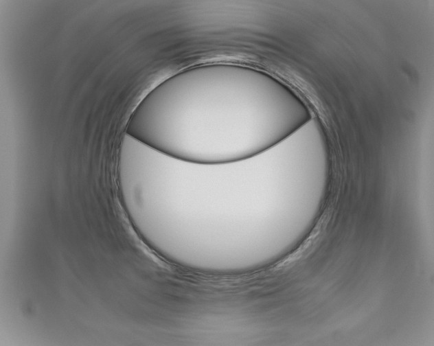 X0000111191377200907011000