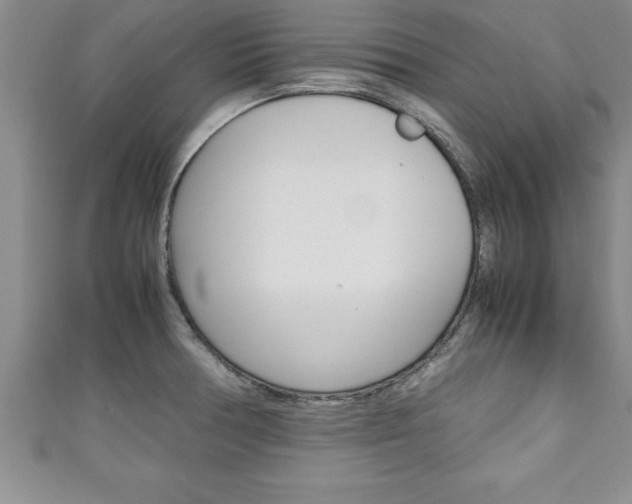 X0000111191378200907011000
