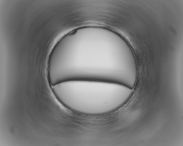 X0000111191379200907011000