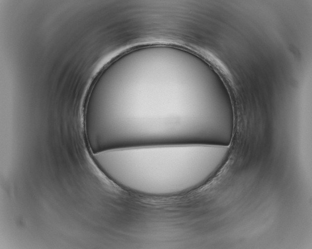 X0000111191380200907011000