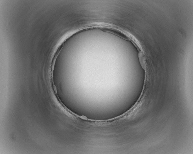 X0000111191381200907011000
