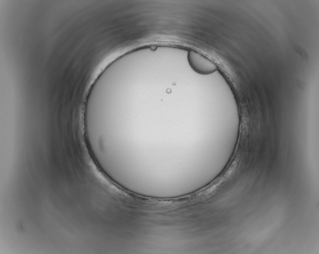 X0000111191382200907011000