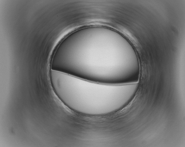 X0000111191384200907011000