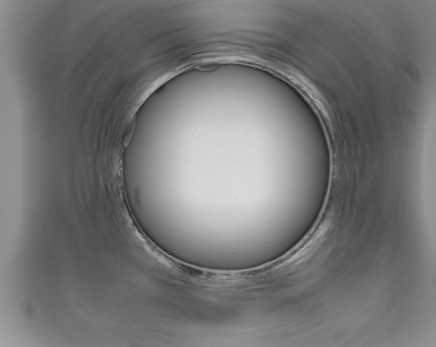 X0000111191385200907011000