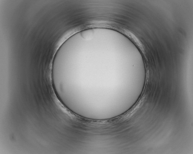 X0000111191386200907011000