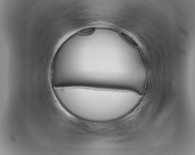 X0000111191387200907011000