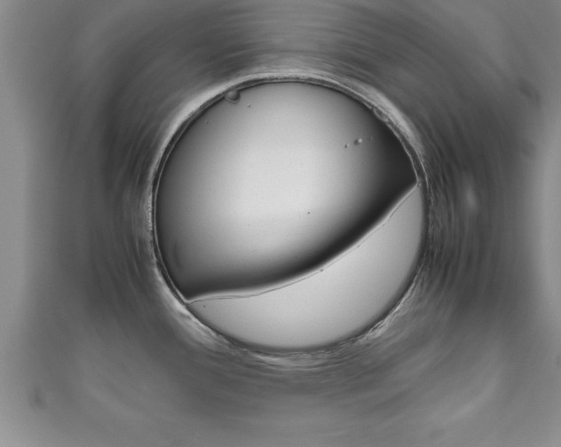 X0000111191388200907011000