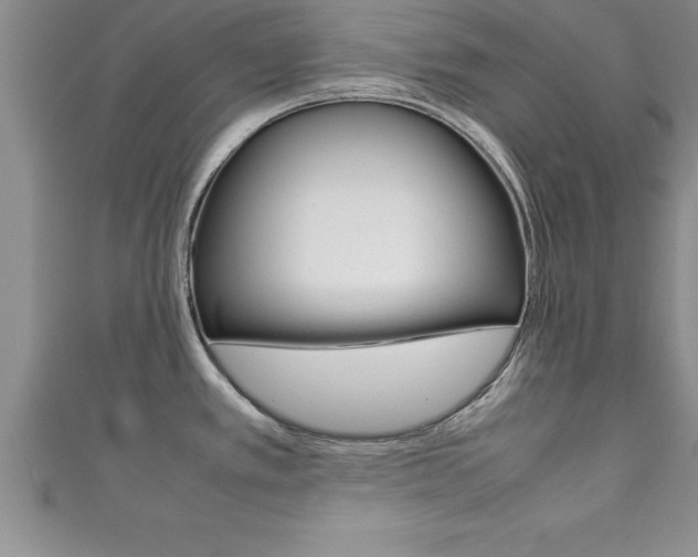 X0000111191389200907011000