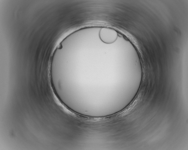 X0000111191390200907011000