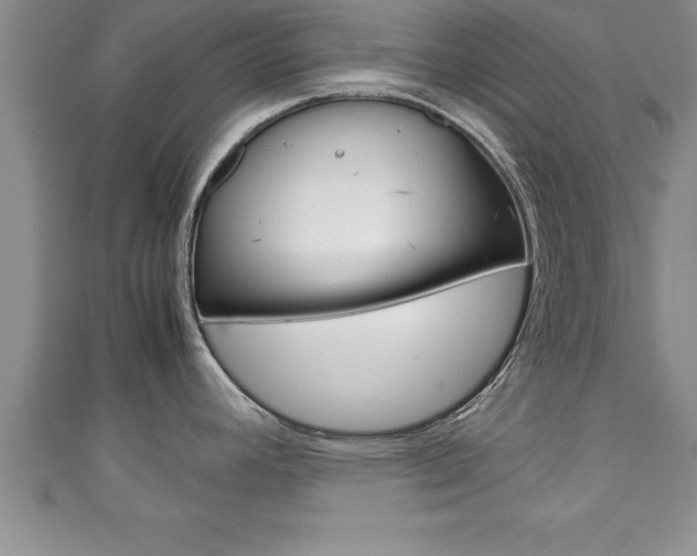 X0000111191392200907011000