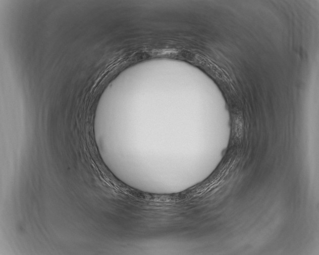 X0000111191393200907010959