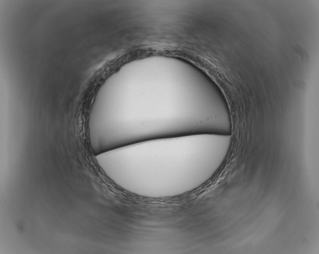 X0000111191398200907010959