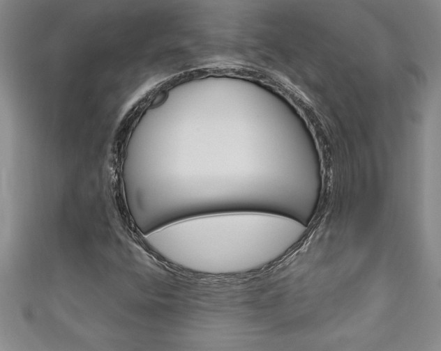 X0000111191400200907010959