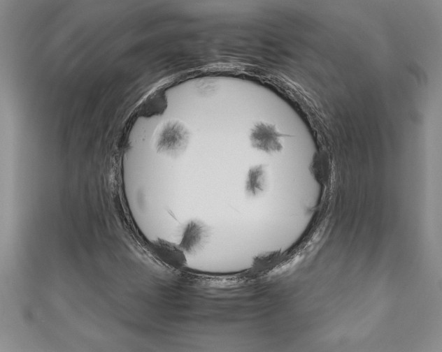 X0000111191401200907010959