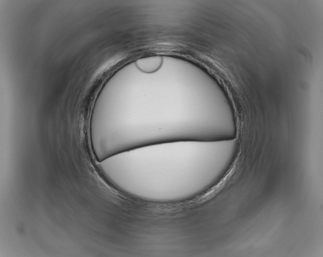 X0000111191402200907010959