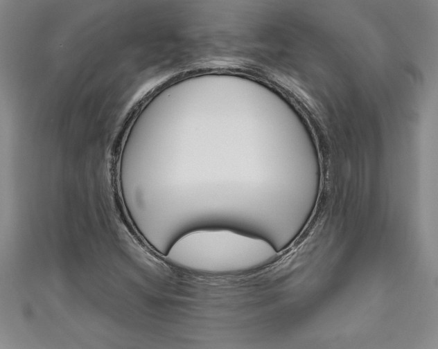 X0000111191404200907010959