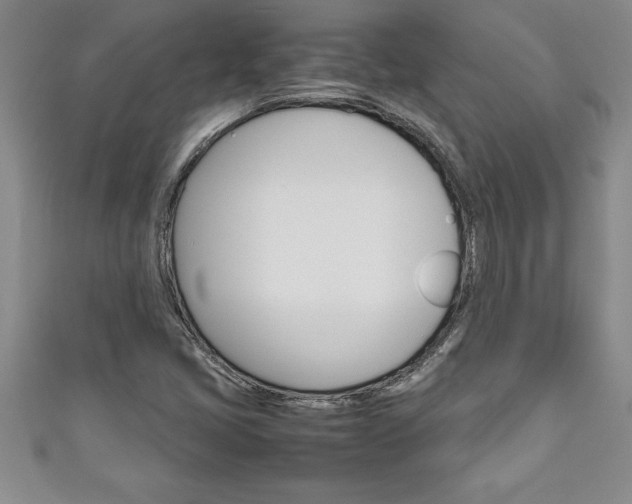 X0000111191405200907010959