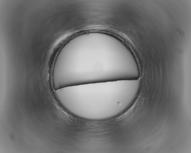 X0000111191406200907010959