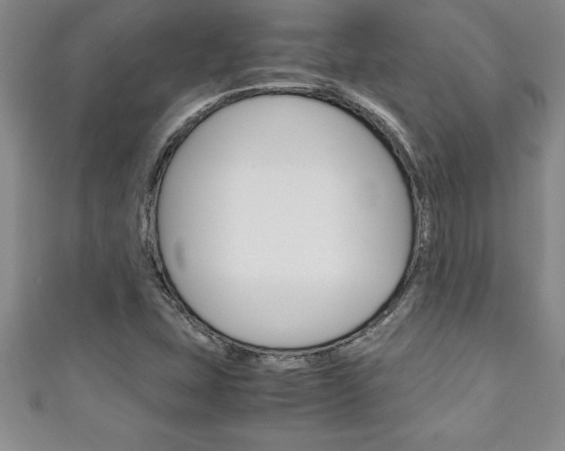 X0000111191407200907010959