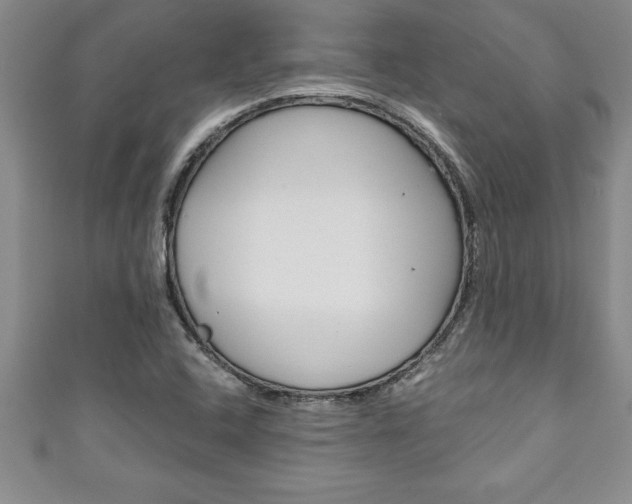 X0000111191408200907010959