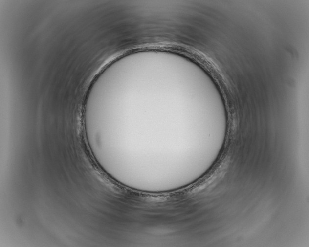 X0000111191409200907010959