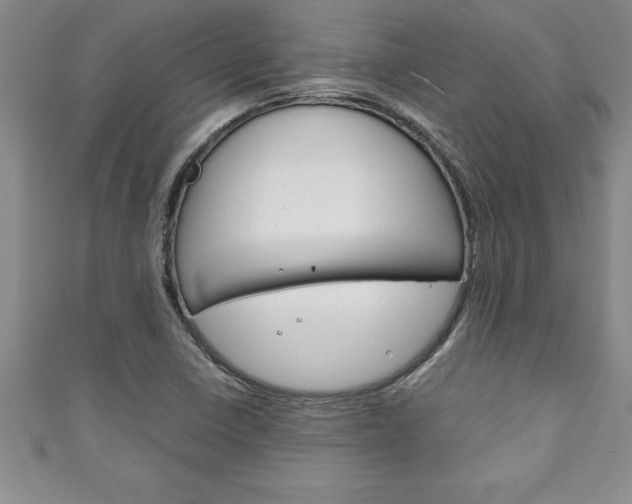 X0000111191410200907010959