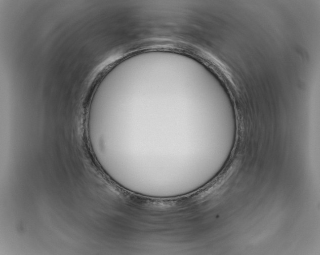 X0000111191411200907010959