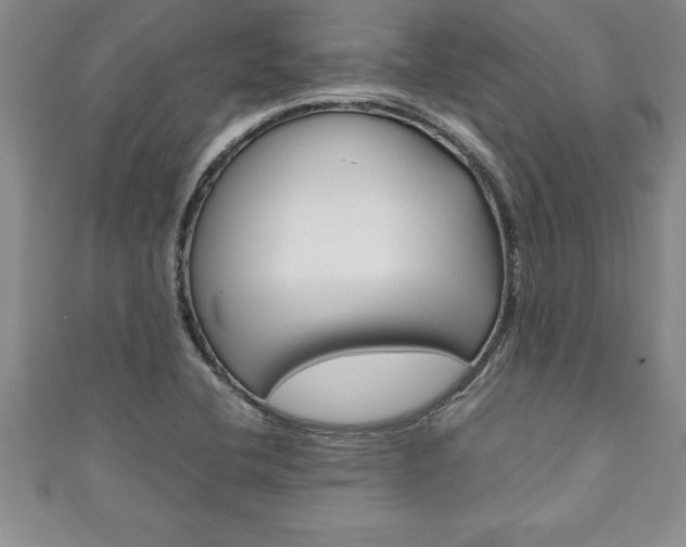 X0000111191412200907010959