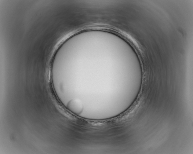 X0000111191413200907010959