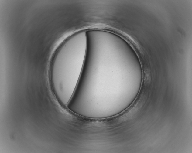 X0000111191414200907010959