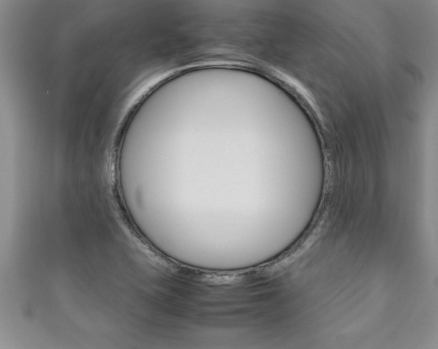 X0000111191415200907010959