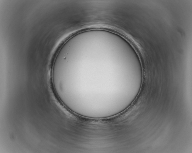 X0000111191416200907010959